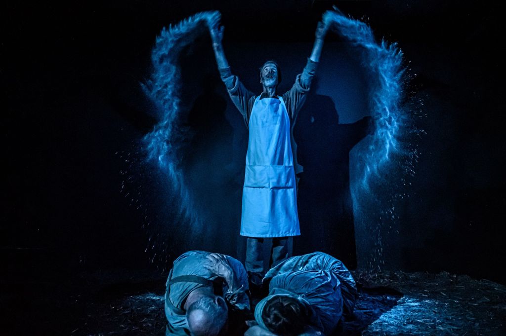 The power, magic & malice of words in the fascinating, visceral, philosophical, sensual Knives in&nbsp;Hens