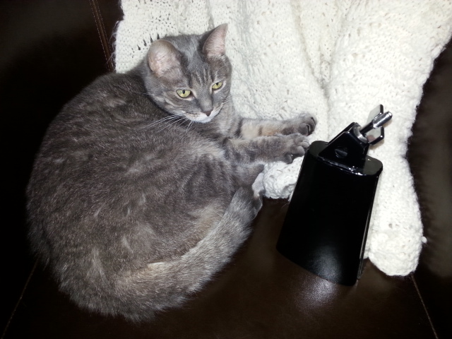 ICYMI: cowbell on indefinite&nbsp;hiatus